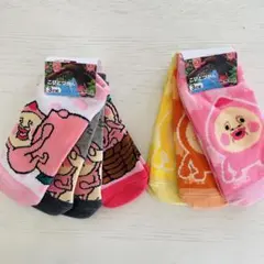 新品　こびとづかん　キッズ靴下セット 15～20cm