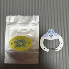 SKZOO SECRET ACRYLIC CARABINER ウルフチャン
