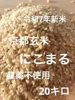 令和7年産 北海道産 ゆめぴりか玄米20kg 大容量　まとめ買い　お買い得 Amazon.co.jp: ゆめぴりか 玄米 20kg (5kg×4袋) 【令和7年度産