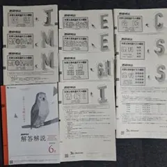 進研模試 高3 大学入学共通テスト模試　問題解答解説 6月のサムネイル