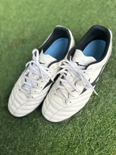 Item thumbnail for item 2b0fd665-736e-4ea1-9805-2ed5281ee4f6