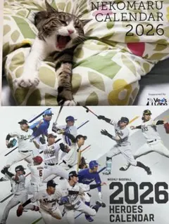 Item thumbnail for item 69c9ee4e-3771-48c5-b9d3-0c76f50e2199