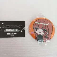 カラフルピーチ 刺繍缶バッジ えとちゃん