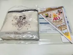 ディズニーグランドフィナーレ　エコバッグ　ガーランド