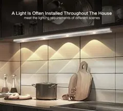 Item thumbnail for item 04bd41cf-7297-4da5-b37e-fe0d1eca2360