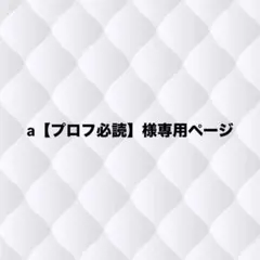 a【プロフ必読】様専用ページ