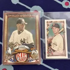 フシギバナ377様 リクエスト 3点 まとめ商品