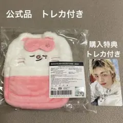 Stray Kids スキズ ジニレット コレクトケース マイクロ セット | Mercari