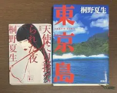 【桐野夏生冊組】東京島、天使に見捨てられた夜