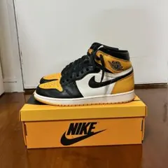 Nike Air Jordan 1 Retro High OG 