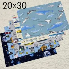 ランチョンマット 20×30 5枚セット　男の子用　海の生物　電車　くるま　宇宙