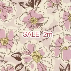 ラスト3点 SALE 2m 線描きフラワー ピンク オックス