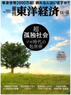 Item thumbnail for item 8853164d-6d39-447a-ac75-7d6990597578