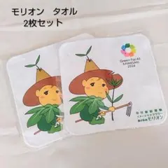モリオン タオル 2枚セット