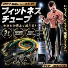 フィットネスチューブ トレーニング 筋トレ エクササイズ セット 体幹 全身のサムネイル