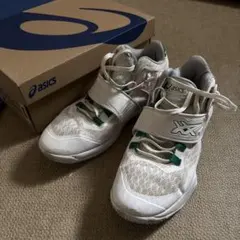 Item thumbnail for item 00e92814-f24f-489d-8dcf-913af040bcb7