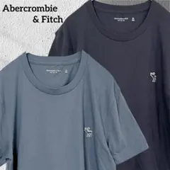 【2枚セット】 アバクロンビー&フィッチ ワンポイント刺繍 Tシャツ M〜L相当