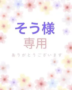 そう様　専用3点