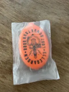 2026年最新】細美武士の人気アイテム - メルカリ