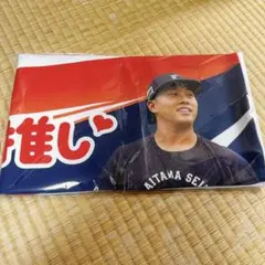 s*k様 野村勇 侍ジャパン タオル - メルカリ