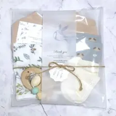 【出産祝い】ベビーギフトセット 歯固め スタイ ソックス 男の子 プチギフト