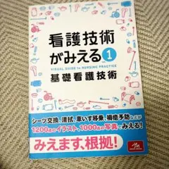 看護技術かみえる1
