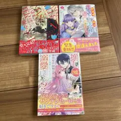 ヤンデレ魔法使いは石像の乙女しか愛せない　他3冊セット