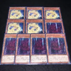 シャキン様 リクエスト 5点 まとめ商品