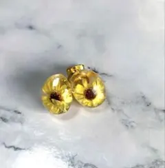 Item thumbnail for item eccf2b46-af67-4947-bec0-6944abb4c802