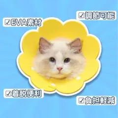 エリザベスカラー 猫用 犬用 ソフト 着脱便利 傷舐め防止 引っ掻き防止