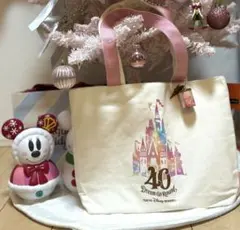 【3日間限定】40周年限定　ディズニーキャンバスカプセルトイキーホルダーセット