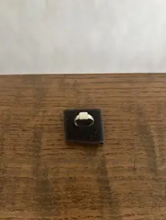 mayumi murasawa [fos]ring TKMM EXCLUSIVE