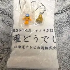 水曜どうでしょう DVD予約特典絵葉書11点とおまけ - メルカリ