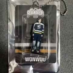 SEVENTEEN HOME ウォヌ