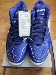 asics GELBURST RS2バスケットボールシューズ 青