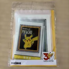 3COINS ポケモン 30周年 ストックバッグ 8枚セット