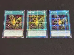 遊戯王 捕食活動 プレデタープラクティス ノーマルパラレル 3枚セット