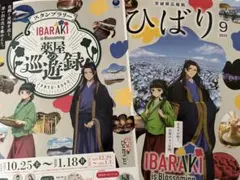 2種 薬屋のひとりごと 茨城 スタンプラリー フライヤー ＆ 広報誌