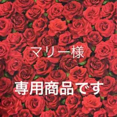2点目❣️同梱リクエスト商品です❣️