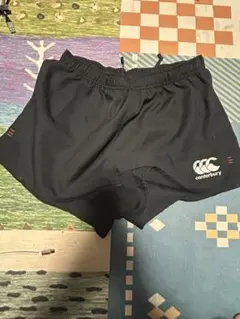 Item thumbnail for item e4910dee-0381-441c-b29d-a8b1ac457bf1