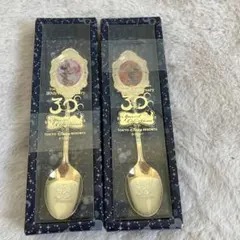 ディズニー30周年スーベニアスプーン