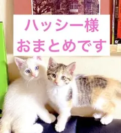 ハッシー様 リクエスト 2点 まとめ商品