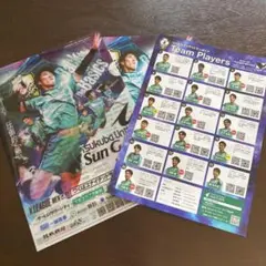 Item thumbnail for item 362f26aa-d303-4044-ae5c-823031d36766