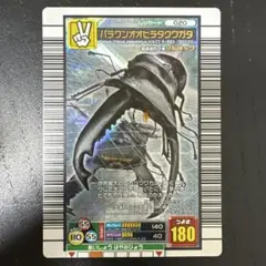 パラワンオオヒラタクワガタ　2006 ファースト