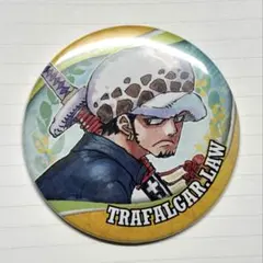 ONEPIECEワンピース ハワイアンズ 缶バッジ 希少 ロー 水着 ウォーター