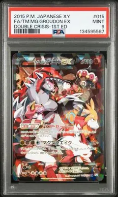 2026年最新】グラードンex psa9の人気アイテム - メルカリ