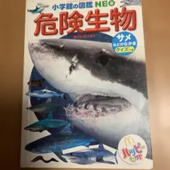 Item thumbnail for item 5d94723a-db4e-4cc5-8609-992fb95242e3