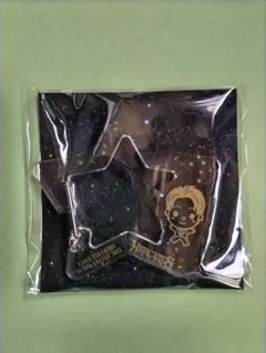 TAKAHIRO武道館カラビナ