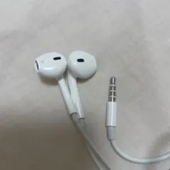 EarPods（3.5 mmヘッドフォンプラグ）とLightning変換アダプタ