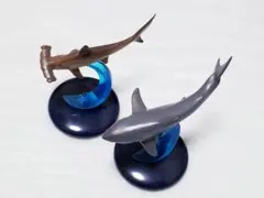 Item thumbnail for item 4c62cad7-4cd3-4bab-9696-02d86103b451